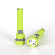 Yichen 80 Lumen 2AA Battery Operated Basic LED Flashlight Torch manufacturer
