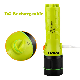 Yichen 800 Lumens LED Flashlight for Diving and Hunting