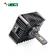 Gview G12D Series D1S D2S D3S D4S D5S D8S Led Canbus Auto LED Headlamp Car Led Headlight D1S Led Headlight Bulb For Others Car Light Accessories manufacturer