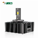 G-View Super Bright Car Xenon Bulb Replace Canbus LED Headlamp Bulb manufacturer