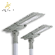 Single Twin Arms Village Outdoor LED Flood Garden Street Solar Light manufacturer