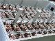 Finishing Crates Fatten Pen Pig Breeding Farms manufacturer