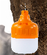 10W Rechargeable LED Camping Light Small Hook for Outdoor Use manufacturer