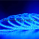 Ce/RoHS LED Strip Light SMD2835-96 220V/230V LED Rope Light- Cinta LED, Fita LED, Tira LED, Ruban LED manufacturer