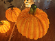 Pumpkin Light Custom Life Size Fiberglass Statue Sculpture Motif Light manufacturer