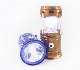 6 LED Wholesale Outdoor Sport Solar Rechargeable LED Camping Lantern manufacturer