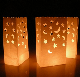 10xluminary Candle Lantern Paper Bags Party Wedding Birthday Celebrations