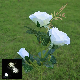 New Outdoor 3 Head Garden LED Solar Simulation Rose Flower Light