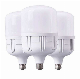 Wholesale Price AC/DC Bombilla Ampoule LED Dob SKD Bulb 30W 40W 50W 60W 240V T Bulb manufacturer