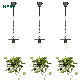 Kava Lighting Nordic Creative Hanging Planter Epipremnum Aureum Light