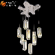 Contemporary Luxury Iron Chandelier K9 Crystal Pendant Lamp (OM88565-10 Clear)