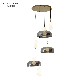 Guzhen Ocean Lighting Simple Dining Room Modern Custom LED Glass Chandelier Pendant Lamp manufacturer