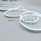Factory Wholesale LED Neon Waterproof Strip Light