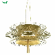 Customized Made Upward and Downward Champagne Project Chandelier for Project