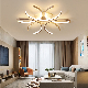 Modern Living Bedroom Kitchen Study Room White LED Ceiling Lamps Chandeliers