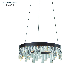 Circle Design Modern Decor Crystal Pendant Lamp Chandelier manufacturer