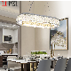 Art Exquisite Design Modern Home Hotel Glass Chandelier manufacturer