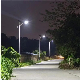 LED Solar Light PWM Controller 30W Separated LED Solar Street Light manufacturer