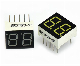 0.36 Inch 2 Digit 7 Segment LED Display with Yellow Light manufacturer