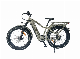 Queene/26 Inch Full Suspension Electric Bike Snow Bike with Smart TFT Color Display manufacturer