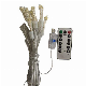 Solar Powered Christmas Holiday Lighting Decoration String Light