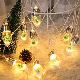 Interior Decoration Lights LED Wishing Bottle Christmas Tree Decoration Light String manufacturer