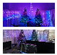 Photo Recognition DIY Smart String LED Christmas Tree Lights IC Addressable manufacturer