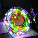 Dreamcolor USB LED String Light Bt Music APP Ws2812b Garland Fairy Lights for Christmas Birthday Party Decoration Waterproof Christmas Lights manufacturer