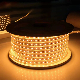 High Brightness LED Rope Light manufacturer