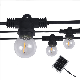 Clear Bulb LED G40 Globe Solar LED String Lights Outdoor Holiday manufacturer