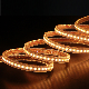 Ce Rope Light Outdoor Application Waterproof IP65 manufacturer