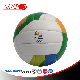 Factory Customized Size 2-5 PVC Volleyball manufacturer