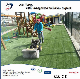 Smg Outlook Competitive Price Soccer Field Grass Brushing Machine manufacturer