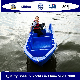 Bestyear 3.9m Plastic PE Boat for Fishing or Working manufacturer