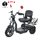 500W Rear Differential Motor 3 Wheel Electric Mobility Scooter Disabled Scooter manufacturer