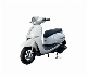 2000W Electric Scooter/Electric Motorcycle/Ebikes/Escooters for Adult manufacturer