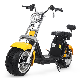 Electric Scooter Citycoco 1500W 2000W Electric Motorcycle CE EEC