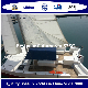 Bestyear Catamaran S33c manufacturer