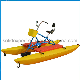 China Supplier Fiberglass Aqua Bike Water Bike for Water Park manufacturer