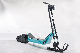 Yologo Max Speed 50km/H Snow Scooter