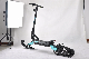 Russia Snow Scooter 100% Electric Quite and Fun