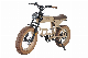 20 Inch Urban Step-Through Electric City Bike Warehouse manufacturer