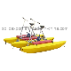 Hotselling Double Riders Water Bike for Sale with Lowest Price manufacturer