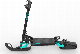 Yologo 100% Electric Snow Scooter manufacturer
