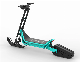 Removable Battery Snow Scooter 72V38ah manufacturer