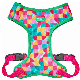 Breathable Adjustable Air Mesh Dog Harness with Customizable Options