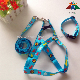 Patterned Printed Wholesale New Pet Supply Accessories Products Burberry Leather Sport Retractable Coated Cat Dog Collar Leash and Harness manufacturer