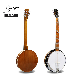 Chinese Wholesale Custom Logo Import Folk Musical Instruments Electric 6 Strings Banjo manufacturer