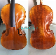 Advanced Cello, Antique Varnish Popularity-Aca300 manufacturer