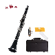 Clarinete professional 17 Key Bakelite Body Clarinet Musical Instrument with Case (CL-G4540N) manufacturer